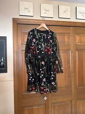 Milumia Women's Floral Embroidery Mesh Long Sleeve Fit and Flare Mini Dress XL